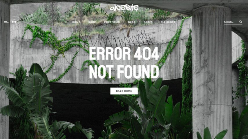 404 404
