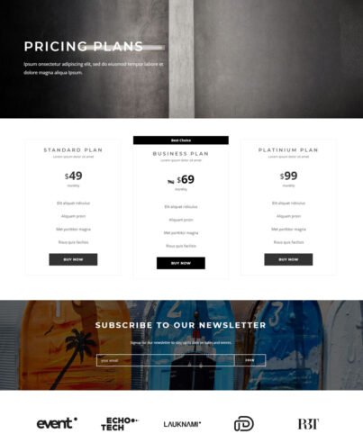 pricing pricing