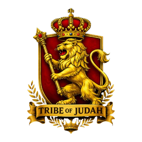 About tribeofjudah removebg preview